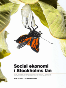 Social ekonomi i Stockholms län - kartlägging av