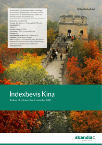 Indexbevis Kina