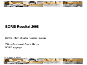 BORIS resultat 2008