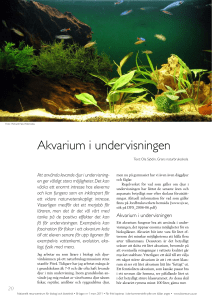 Akvarium i undervisningen - Nationellt resurscentrum för biologi och