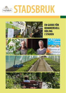 Guide för kommersiell odling i staden