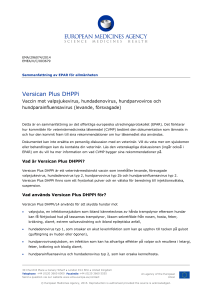 Versican Plus DHPPI, canine distemper, canine adenovirus, canine