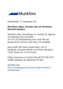 Munkfors sågar, Swedev AB och Munkfors Sawmill Support