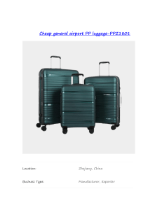 China PP trolley case