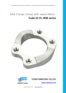 2. SAE code 61 FLANGE CLAMPS with metric tapped hole FL-WM series