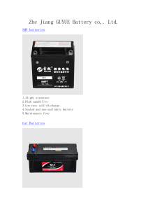 SMF batteries