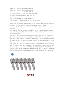 Common Rail Injector Nozzle DSLA148P1468