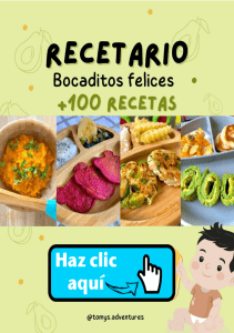 100 recetas para niños de 6 meses a 24 meses BLW PDF Gratis (by Tomy’s Adventures)Recetario Bocaditos Felices