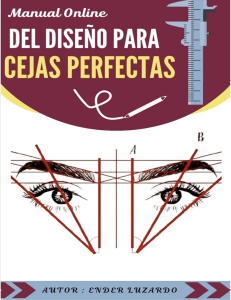 Manual para Diseño de Cejas PDF Gratis